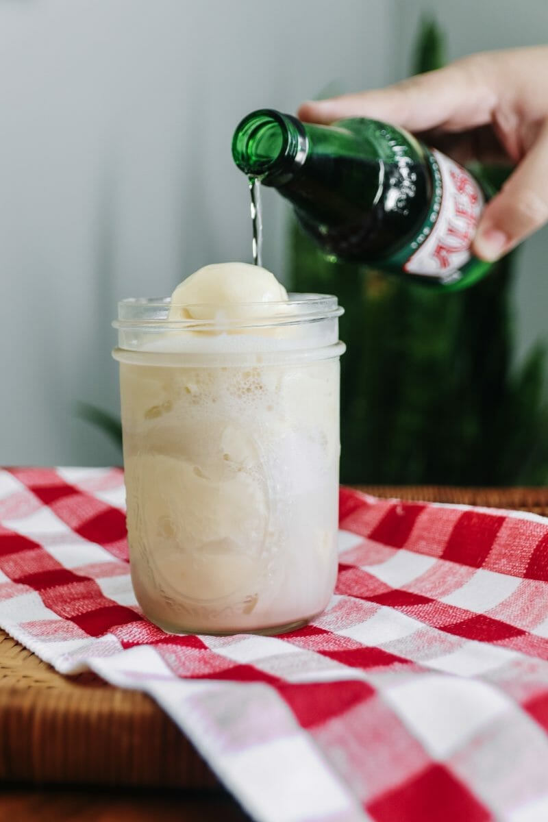 Homemade Ale-8-One Lemon Ice Cream Floats by JCP Eats (JC Phelps)