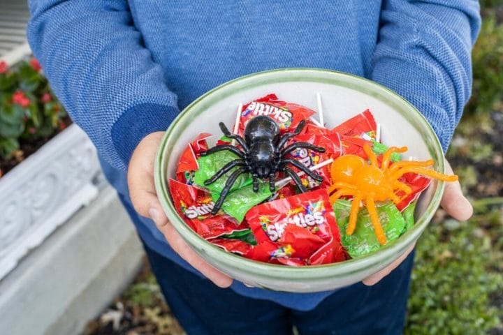 Halloween Party From Dollar General