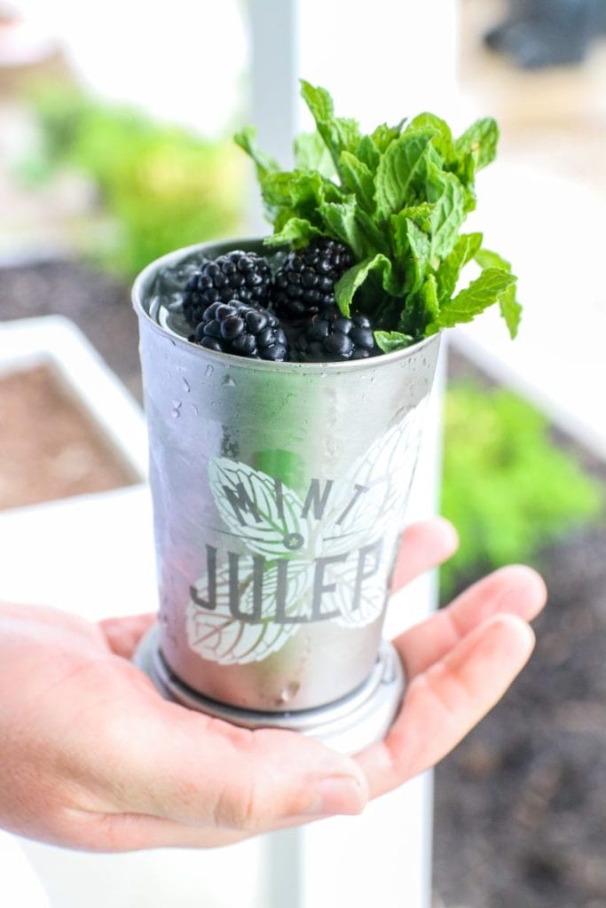 Blackberry Mint Julep Margarita, Kentucky Derby Party Cocktails