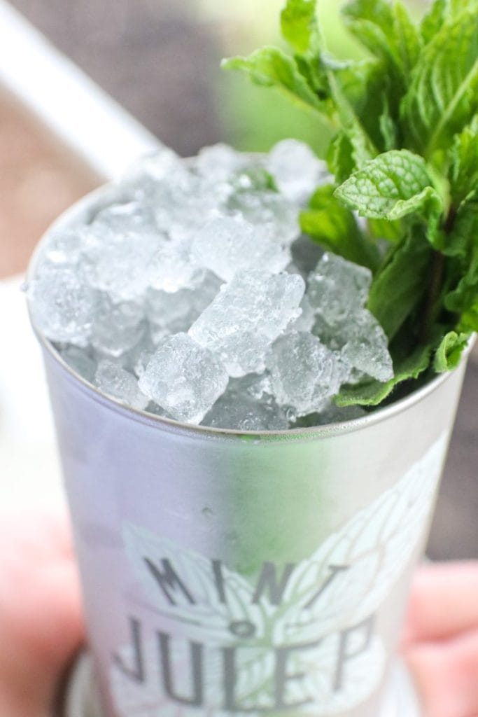 Southern Gin Cocktails
