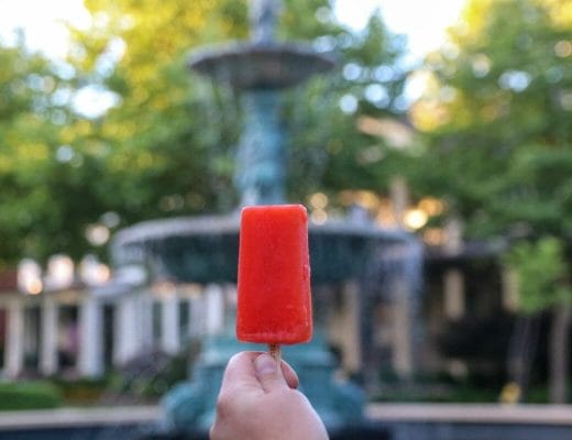 The Best Popsicles In Kentucky - Steel City Pops
