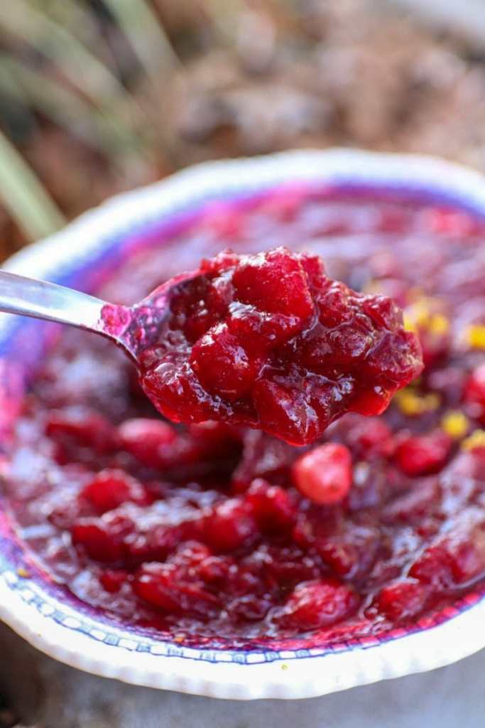 Bourbon Orange Cranberry Sauce