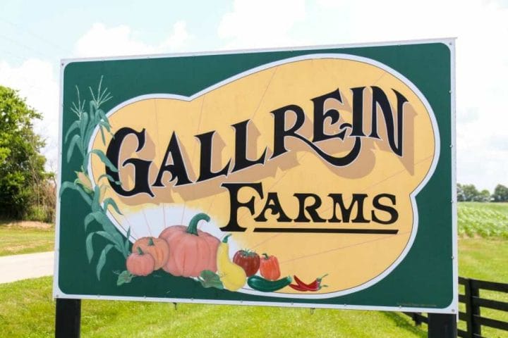 Summer at Gallrein Farms