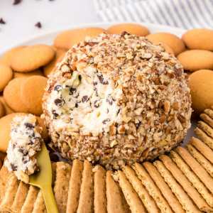 Chocolate Chip Cheese Ball