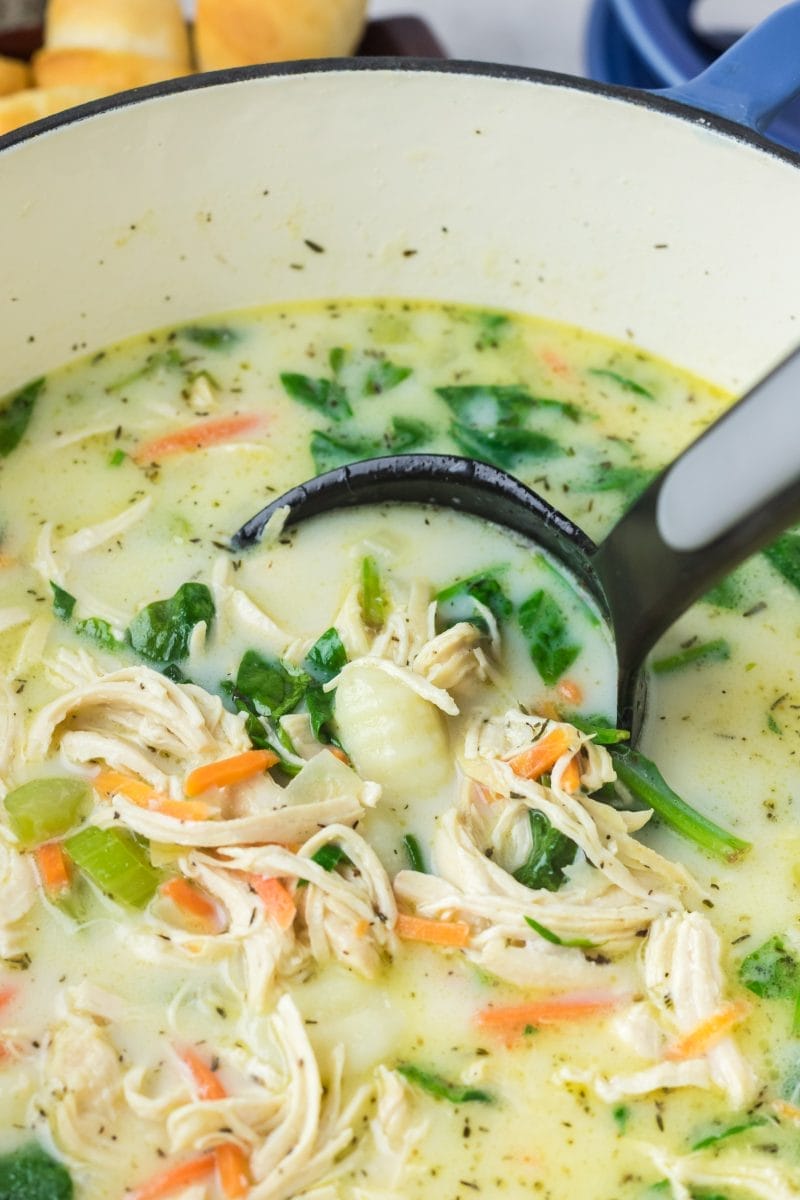 Chicken Gnocchi Soup